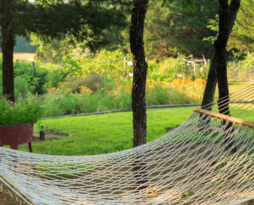 Relaxing hammock with a garden view