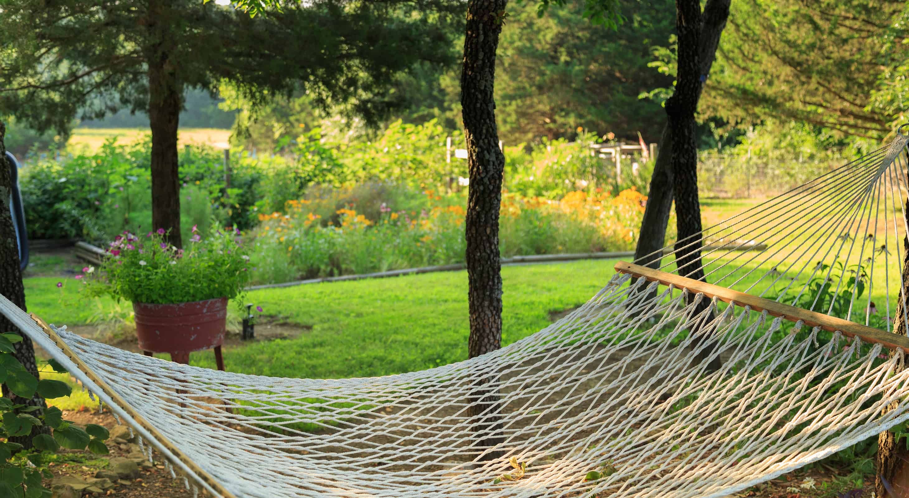 Relaxing hammock with a garden view