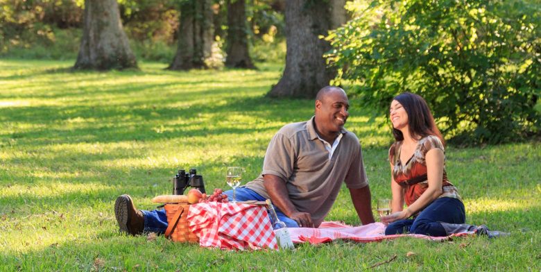 Couple having a romantic picnic lunch on the grass