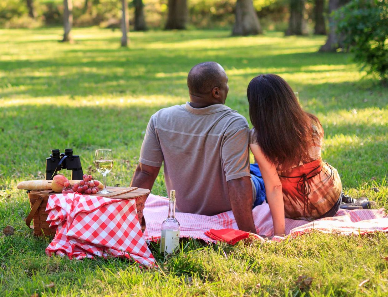Couple having a romantic picnic lunch on the grass on a Kansas honeymoon