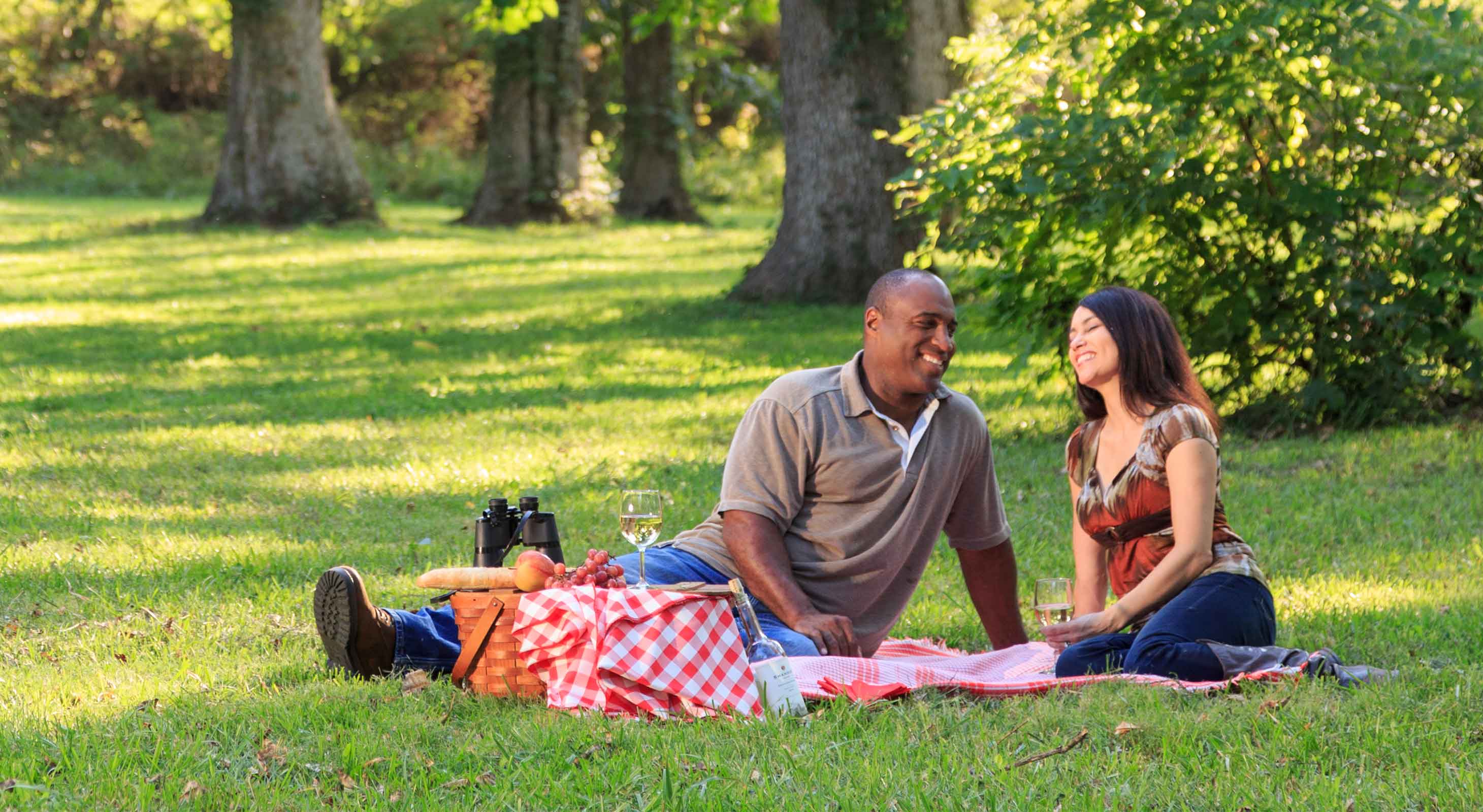 Couple having a romantic picnic lunch on the grass