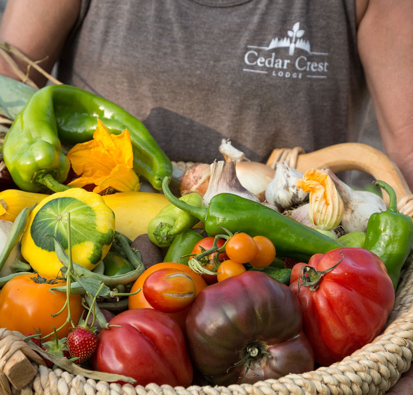 Woman in Cedar Crest Lodge shirt carrying basket full to bursting with freshly-picked vegetables