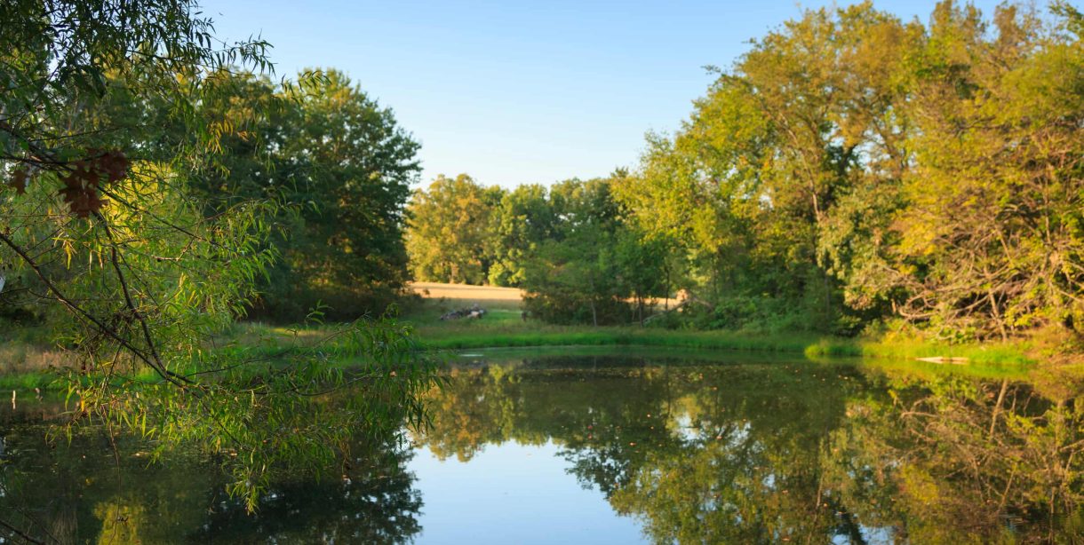 Large pond at bed and breakfast near Kansas City