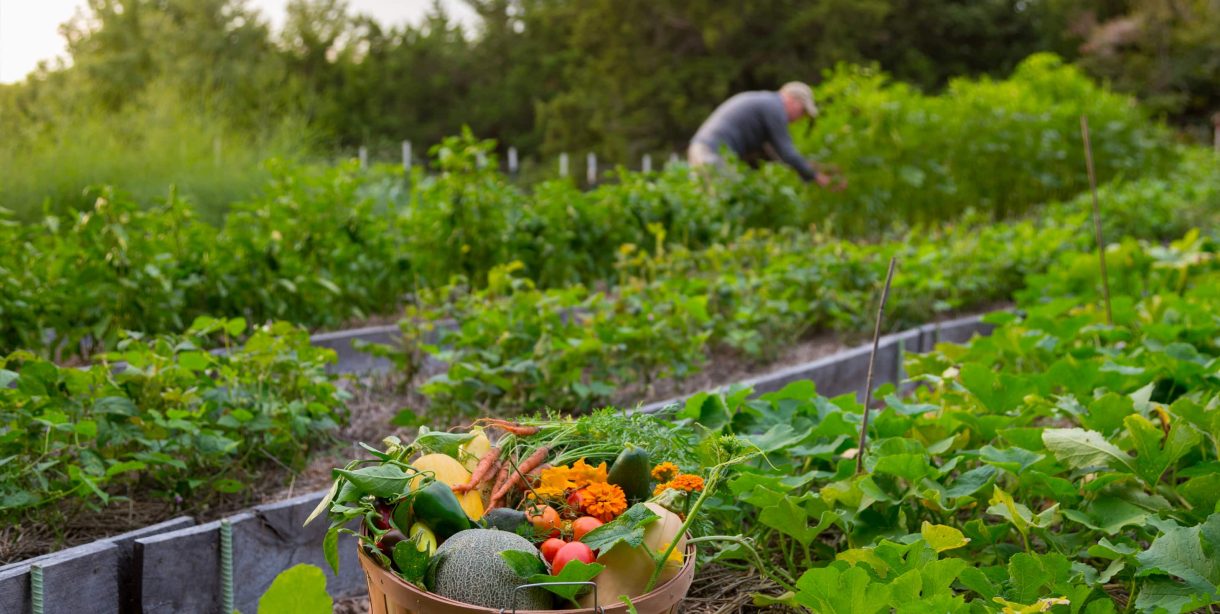 Man in garden at Cedar Crest Lodge inn