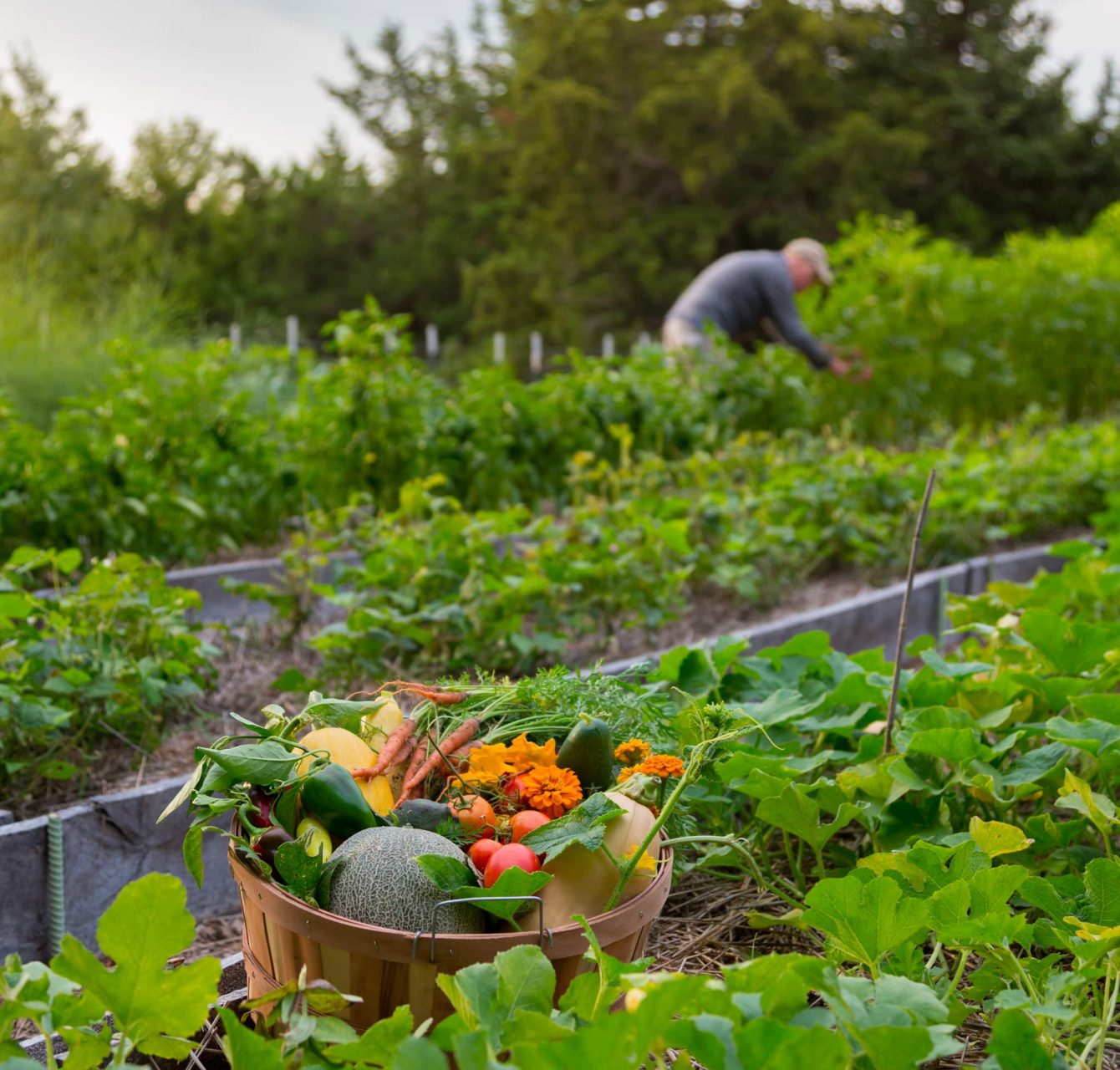 Man in garden at Cedar Crest Lodge inn