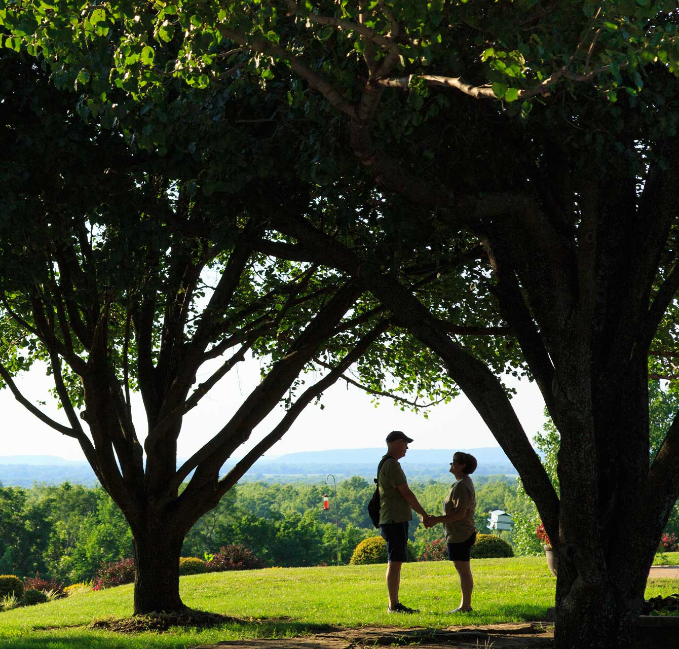 Proposal in the Pecan Grove