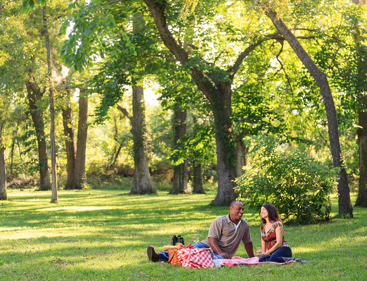 Couple having a picnic in the pecan grove