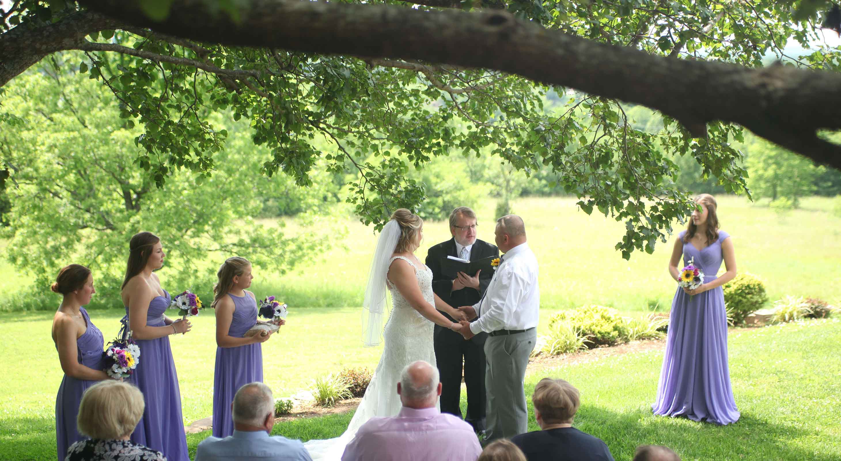 Wedding ceremony under a tree