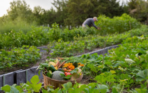 Expansive Garden at Yoga Retreat Center in Kansas