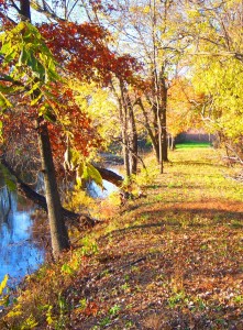 Exterior-vert-5-fall trails - Copy