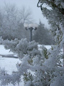 Exterior-vert-8-winter