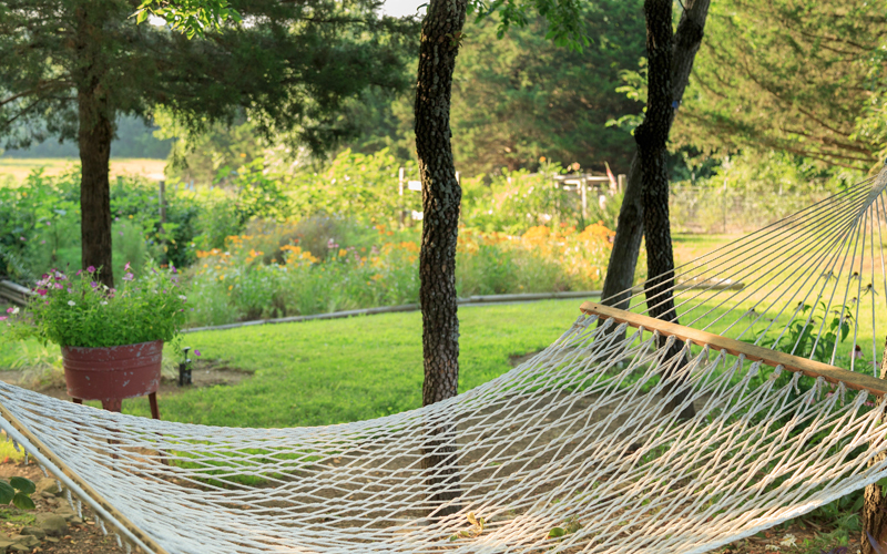 Relaxing Hammock in the Garden