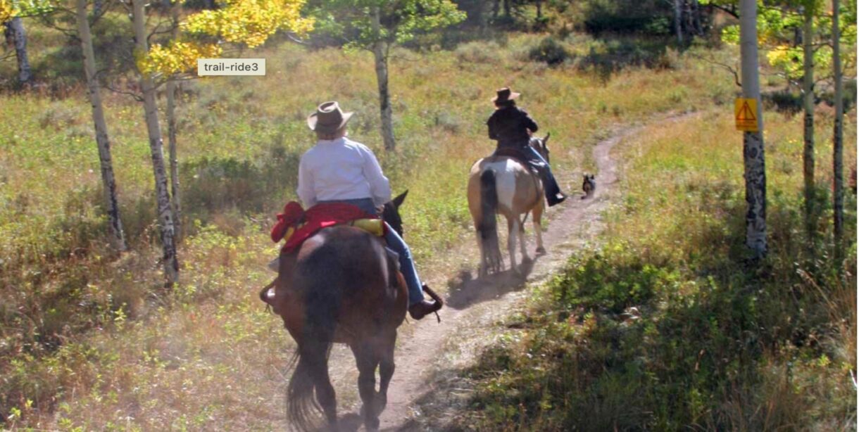 Two people ride horses down a dirt trail on a trail ride with greenery around them