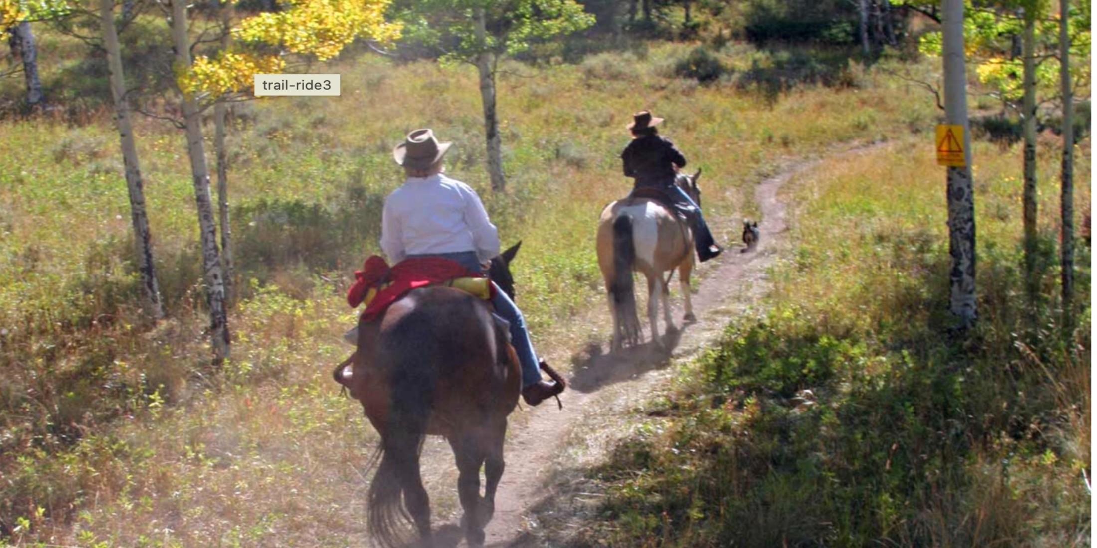 Two people ride horses down a dirt trail on a trail ride with greenery around them